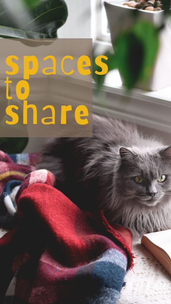 Share the space and the moment alone, with a family pet or a good book